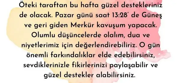 yengeç6 (5).jpg