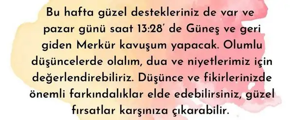 yengeç6 (7).jpg