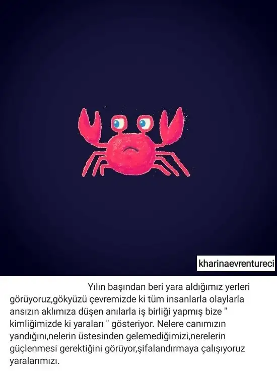 yengeç7 (1).webp