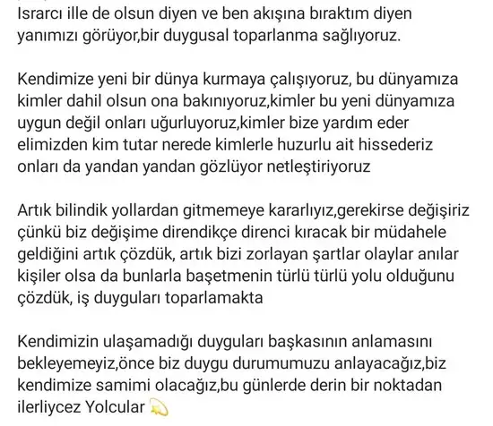yengeç7 (3).webp