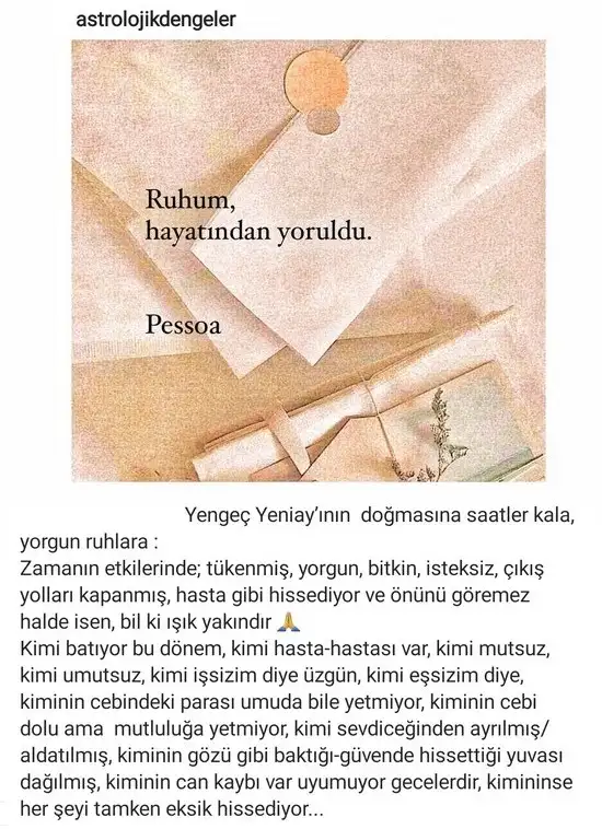 yengeç8 (1).webp