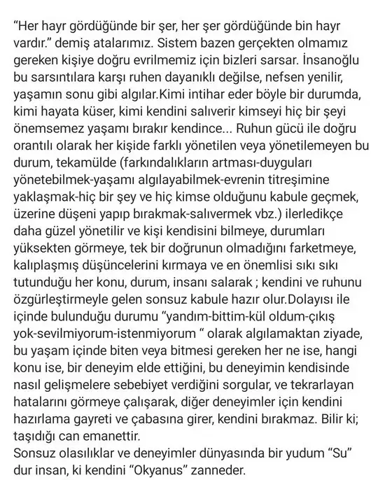 yengeç8 (2).webp