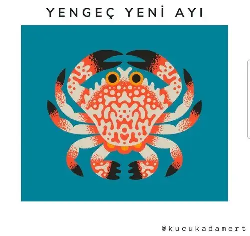 yengeç9 (1).webp