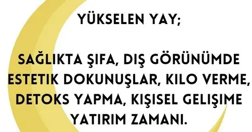 yeniay12 (10).webp