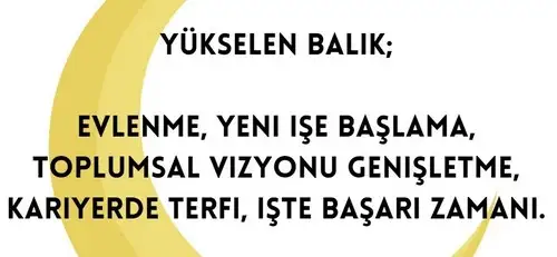 yeniay12 (13).webp