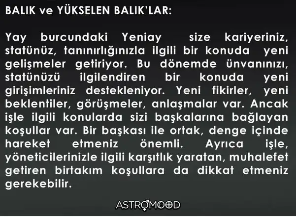 yeniay16 (12).webp