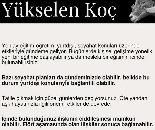 yeniay18 (2).webp