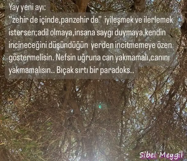 yeniay5.webp