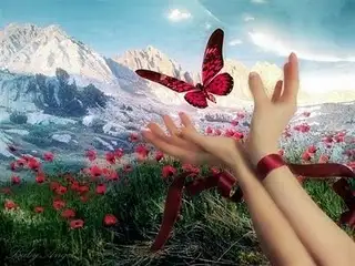 yeniden-baslamak.webp