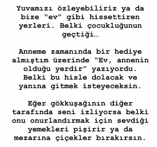 yenn (2).webp