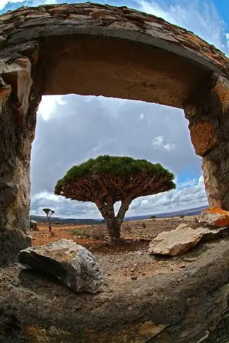 yeryuzunun-gizemli-adasi-sokotra-ada-1208535-Custom.webp