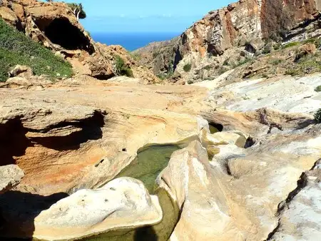 yeryuzunun-gizemli-adasi-sokotra-ada-1475379-Custom.webp
