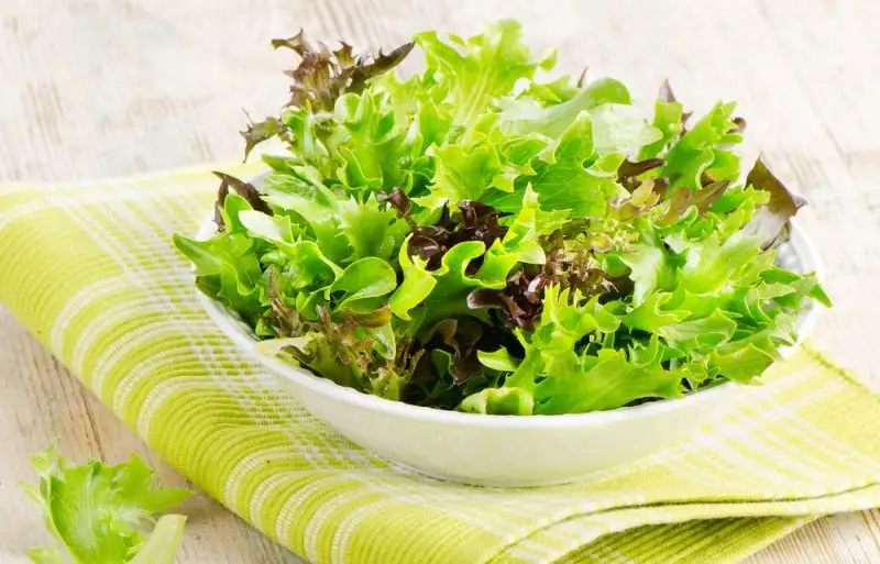 yesilliklerin-daha-uzun-sure-taze-kalmasi-icin1.webp