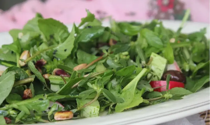 yesilsalata1-1.webp