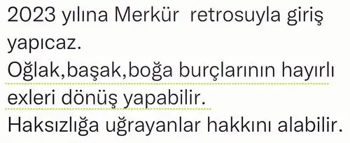 yıı (1).webp
