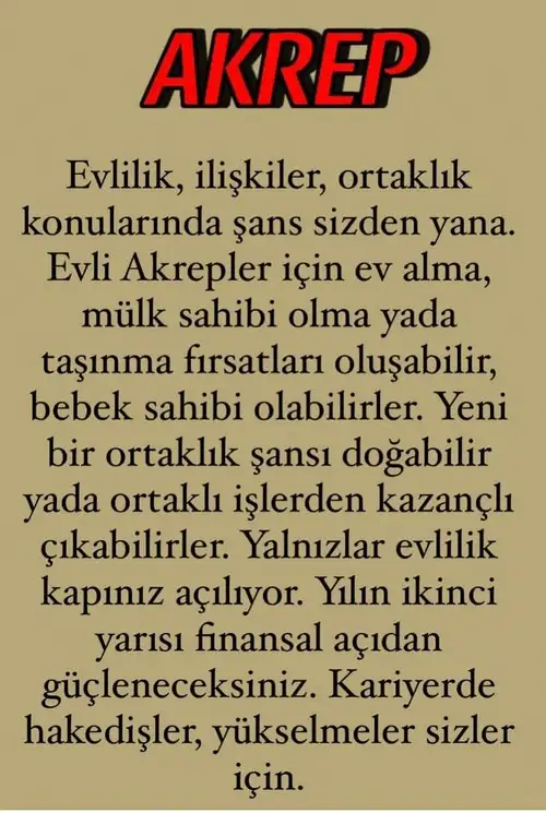 yıl101 (9).webp