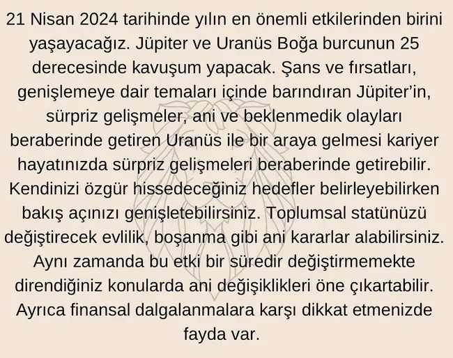 yıl103 (38).webp