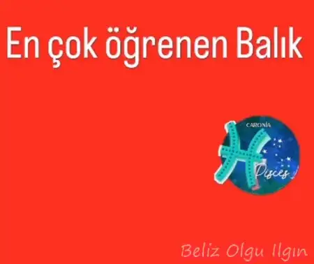 yıl111 (12).webp