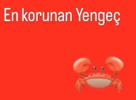 yıl111 (4).webp
