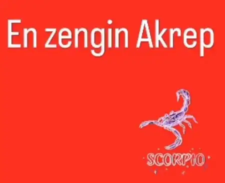 yıl111 (8).webp