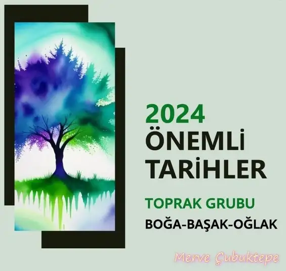 yıl121 (9).webp