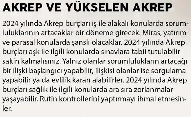 yıl13 (9).webp