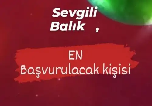 yıl144 (14).webp