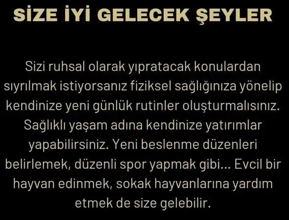yıl155 (9).webp