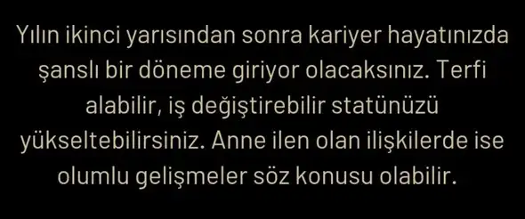 yıl160 (6).webp