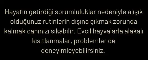 yıl161 (8).webp