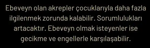 yıl162 (11).webp