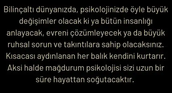 yıl166 (4).webp