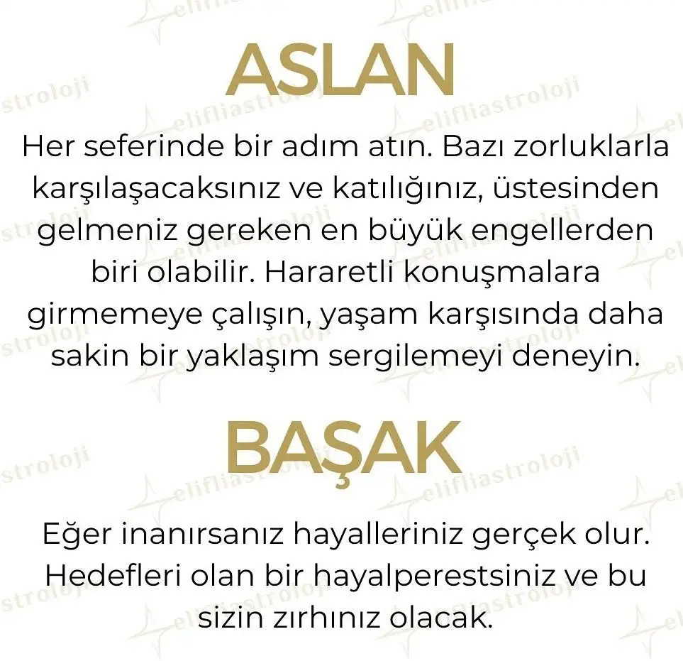 yıl21 (4).webp