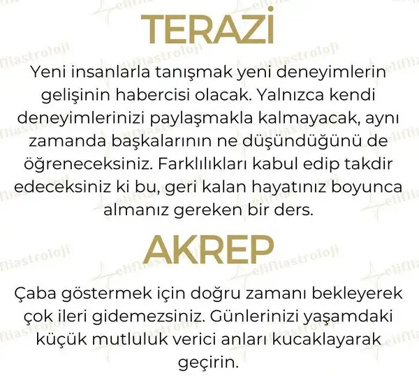 yıl21 (5).webp