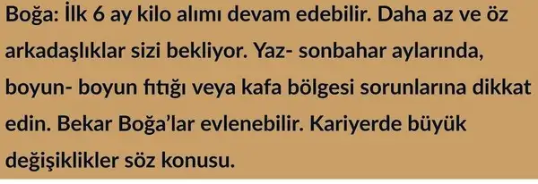 yıl26 (2).webp