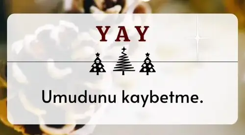 yıl30 (10).webp