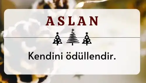 yıl30 (6).webp