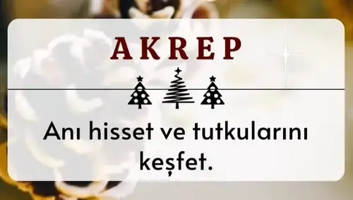 yıl30 (9).webp