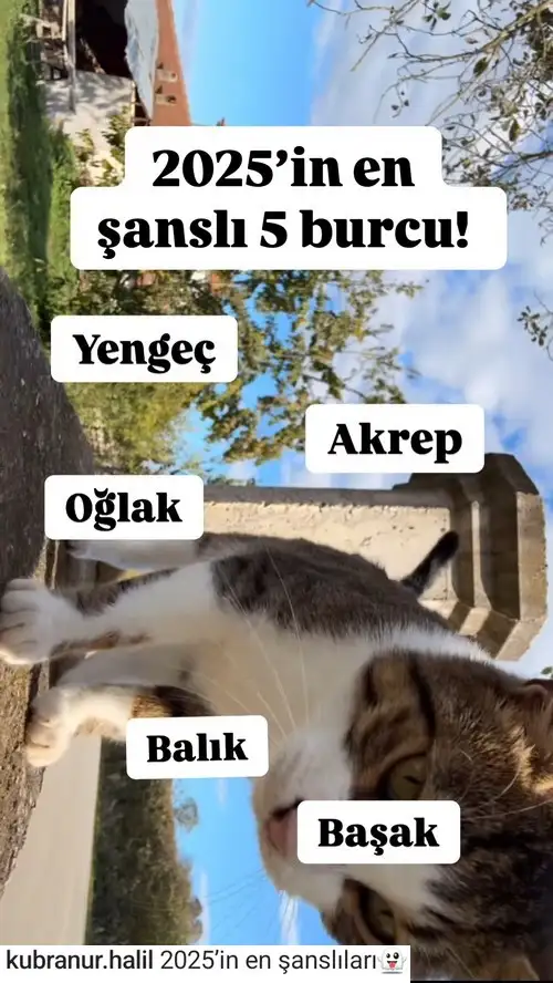 yıl4 (1).webp