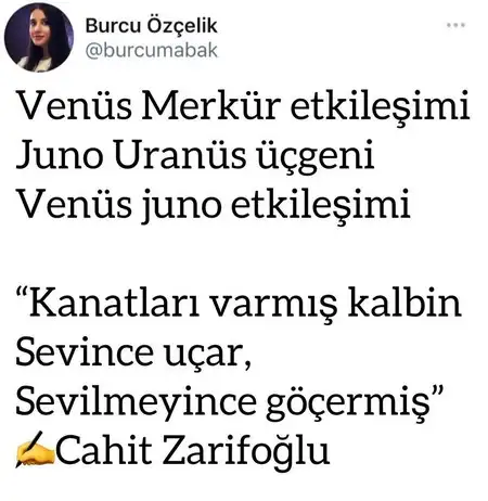 yıl50 (1).webp