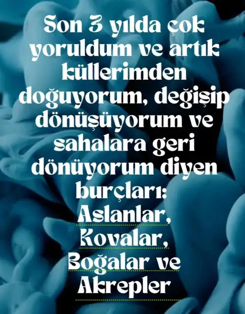 yıl6 (4).webp