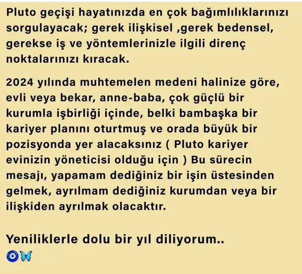 yıl60 (73).webp