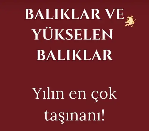 yıl61 (15).webp