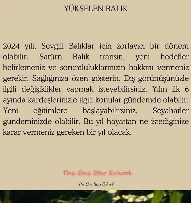 yıl66 (13).webp