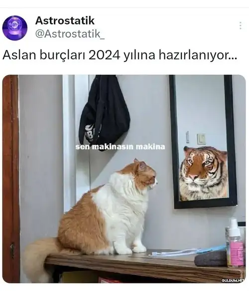 yıl7 5.webp