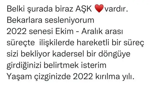 yıllık 0 (24).webp