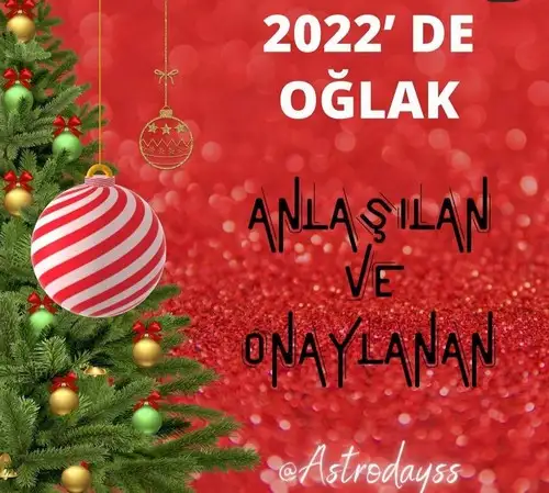 yıllık 10 (10).webp