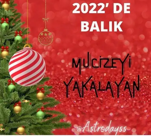 yıllık 10 (12).webp