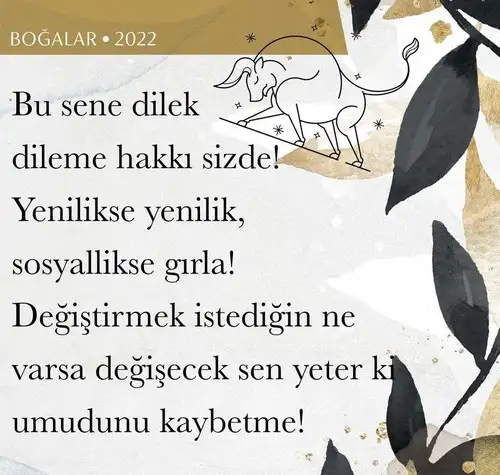 yıllık 11 (3).webp