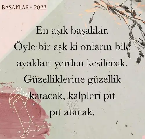 yıllık 11 (7).webp